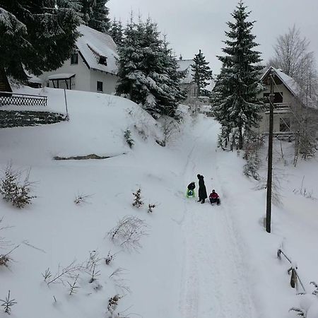 Vila Leni Kopaonik Kültér fotó