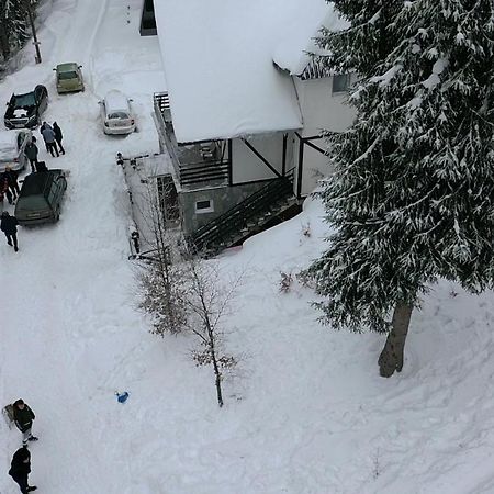 Vila Leni Kopaonik Kültér fotó