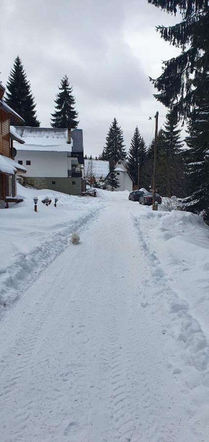 Vila Leni Kopaonik Kültér fotó
