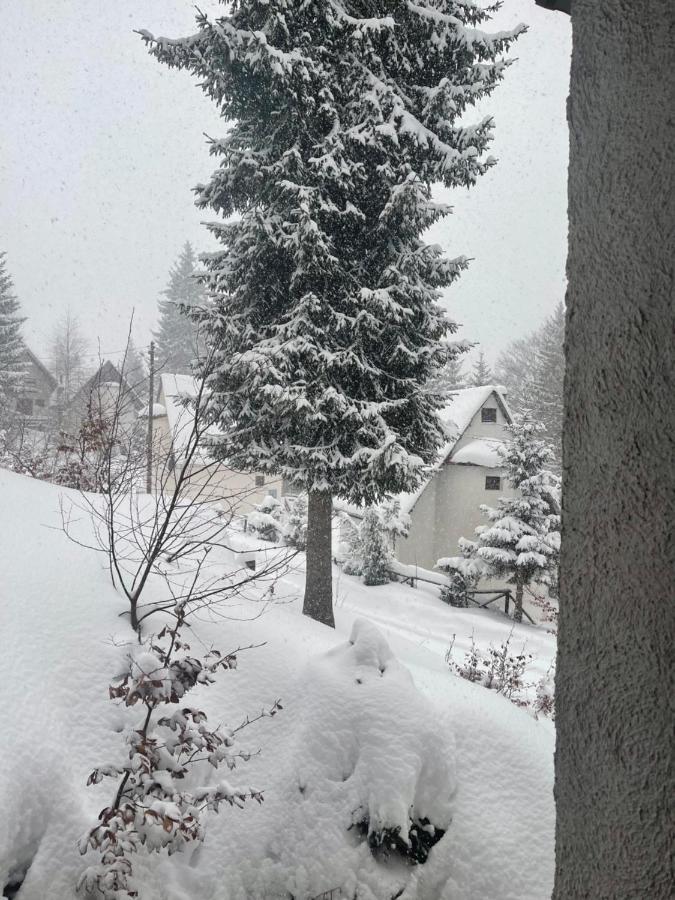 Vila Leni Kopaonik Kültér fotó