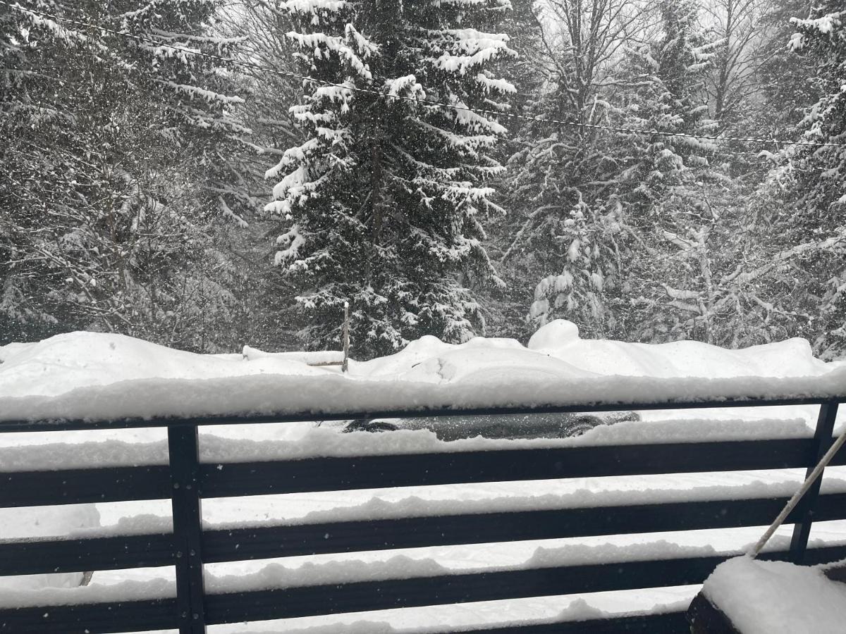 Vila Leni Kopaonik Kültér fotó