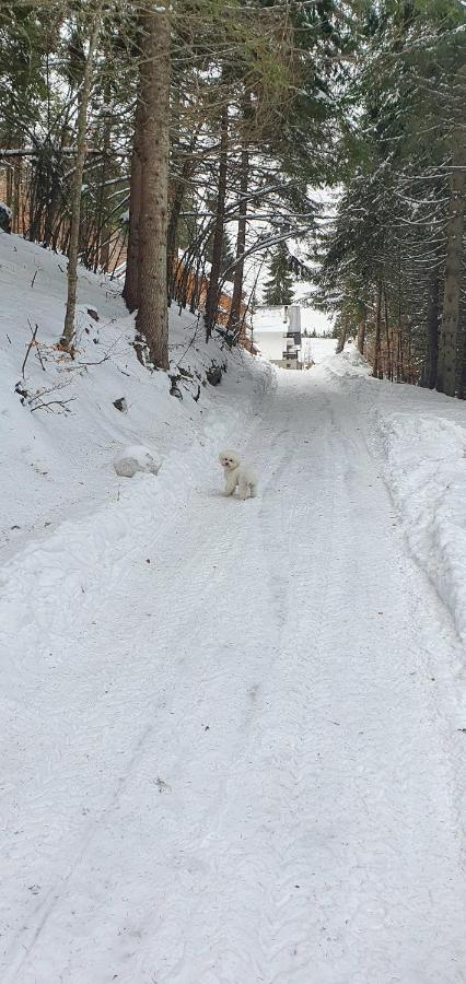Vila Leni Kopaonik Kültér fotó