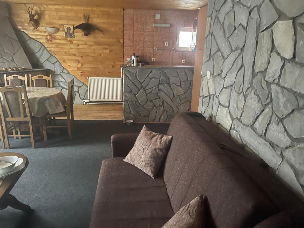 Vila Leni Kopaonik Kültér fotó
