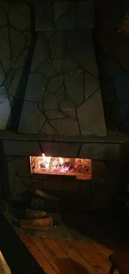 Vila Leni Kopaonik Kültér fotó